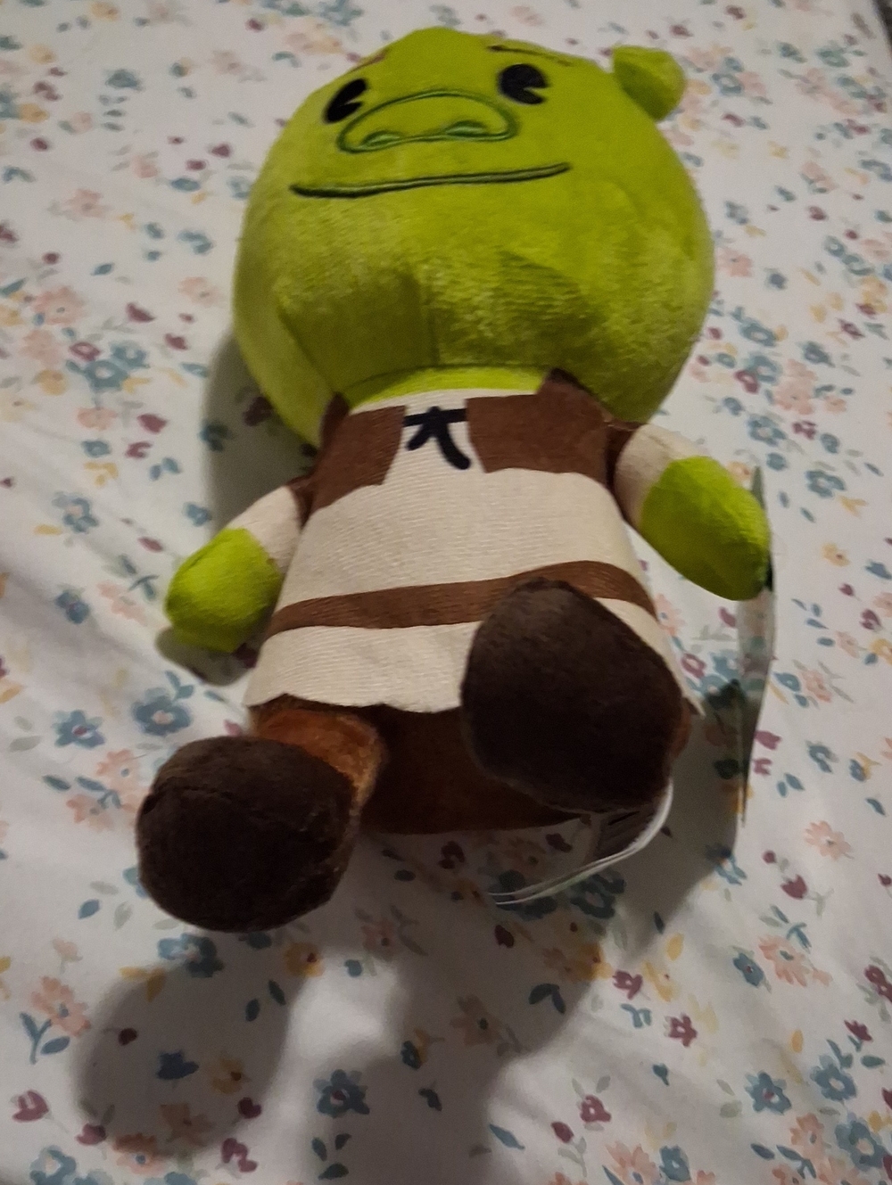 BNWT Dreamworks Green Shrek Plush with Brown Outfit and Dark Brown Feet